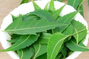 Neem Leaves (25 grm)