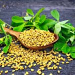 Fenugreek leaves regular