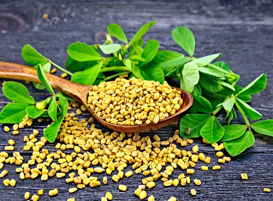 Fenugreek leaves regular