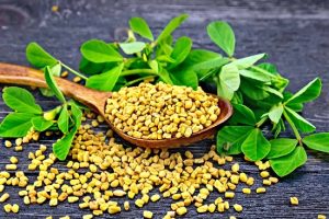 Fenugreek leaves regular
